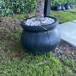 Free Flower Pots (2)