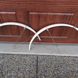 Bike Fenders