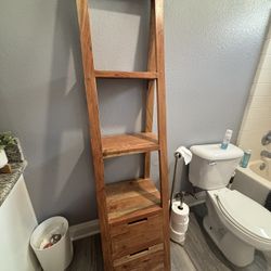 Book Shelf Ladder 