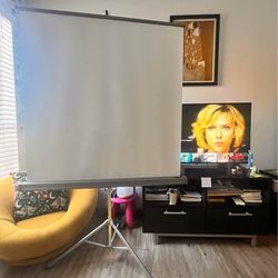 Da-lite projector screen 42”