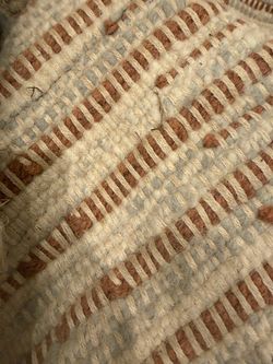 Free West Elm Palisade rug 8x10