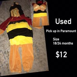 Winnie the Pooh costume