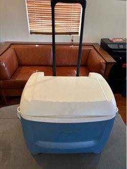 Igloo Ice Chest