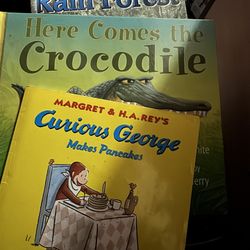 Children’s Scholastic Books For Sale 
