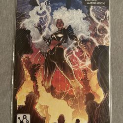 Storm & The Brotherhood Of Mutants (Marvel Comics)
