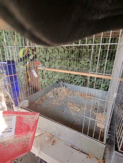 Cage for Kikis minis