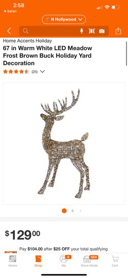 Outdoor Deer
