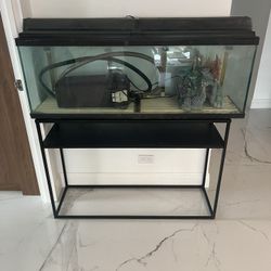 YES ITS AVAILABLE 45 Gallon Aquarium