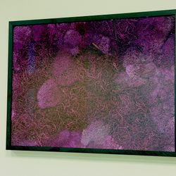 Moss Wall Art - Purple Haze