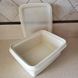 Tupperware Storage. Container. Thick
