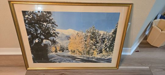Large framed photo