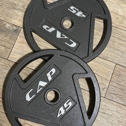 Pair Of 45 lb Olympic weight plates.