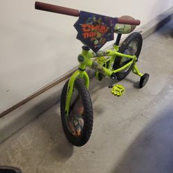 Teenage Mutant Ninja Turtle Kids Bike