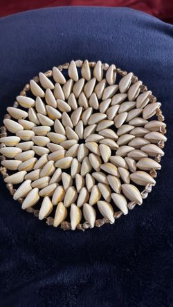 Handmade vintage cowrie seashell trivet