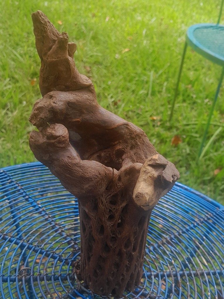 Decorative Cholla Cactus Skeleton Wood