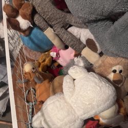 stuffed animals 