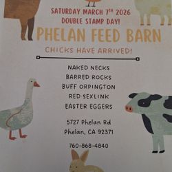 Phelan Feed Barn Double Stamp Day