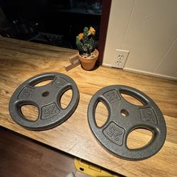 25lbs Weight Plates