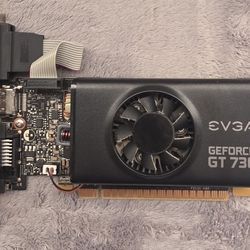 EVGA GeForce GT 730 2GB Graphics Card
