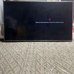 LG 65” TV