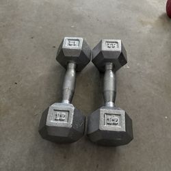 12 LB Iron Dumbbell Pair