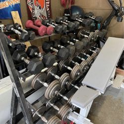 5-100 DB Set, Bench, Barbell, Plates and Tree