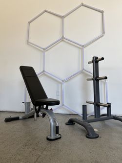 Adjustable Nautilus Instinct Bench and Olympic Plate tree sold together for $900 
