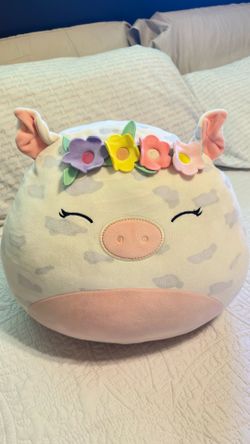 Cute Squishmallowes 🐷