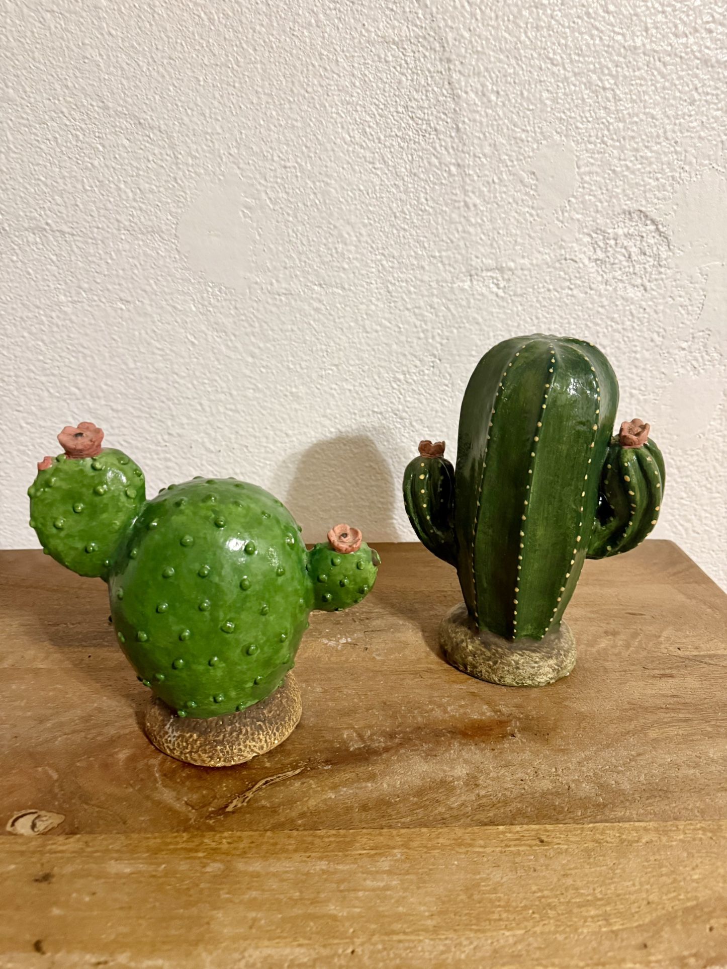 🌵 2 For $30.