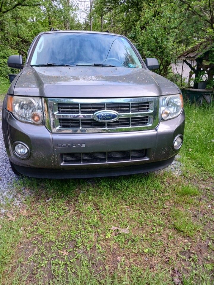 2009 Ford Escape