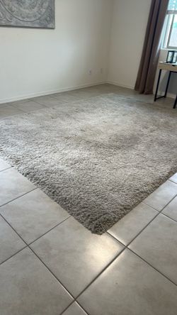 Area rug  10 x 12