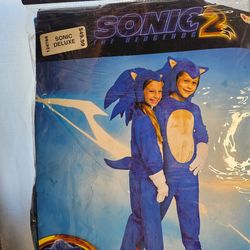 Sonic - Halloween Costume