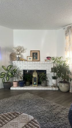 Everything must go sale!