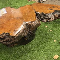 Redwood Burl Coffee Table With Root Base.