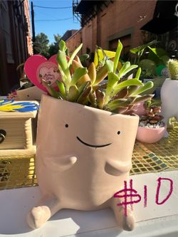 Macetas de suculentas succulents for Mother’s Day