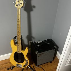 Bass Guitar 