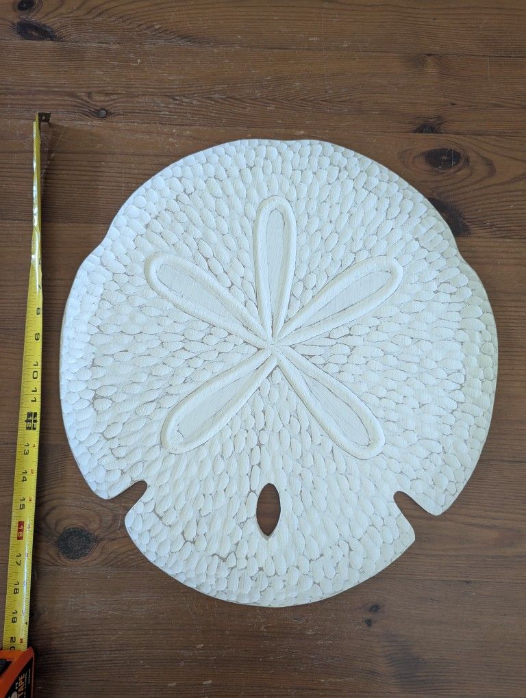 Sand Dollar Wall Art