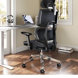 Office Chair - Ergonomic & lumbar Support - Moveout Sale!!
