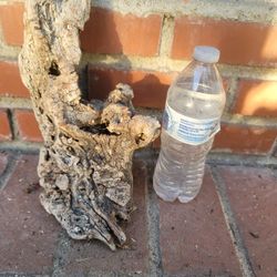 Beautiful Driftwood