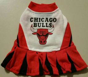 Chicago Bulls Cheerleader Pet Dress - Medium