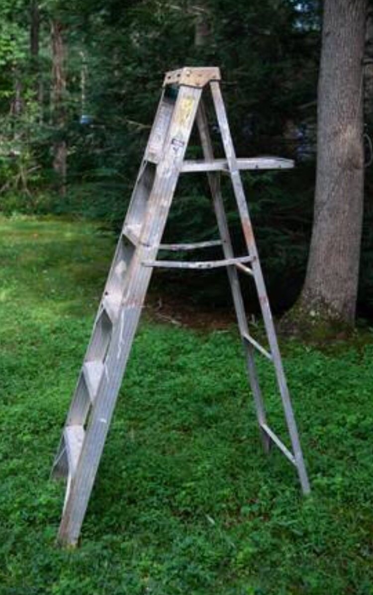 Werner 6 ft. Ladder, aluminum