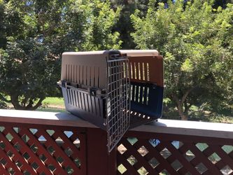 Dog House/Shelter