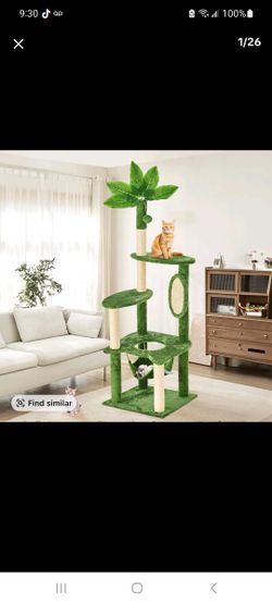 Cat Tree