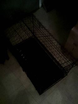 Dog Cage
