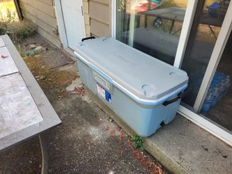 Cooler - 150 QT / 141.9 L