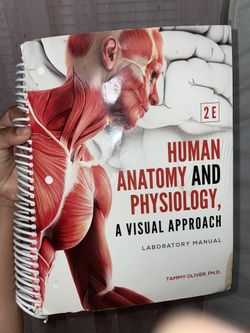 Anatomy and Physiology A Visual Approach