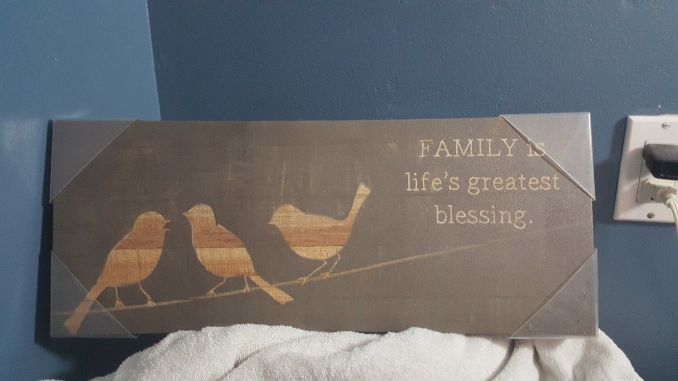 Birds