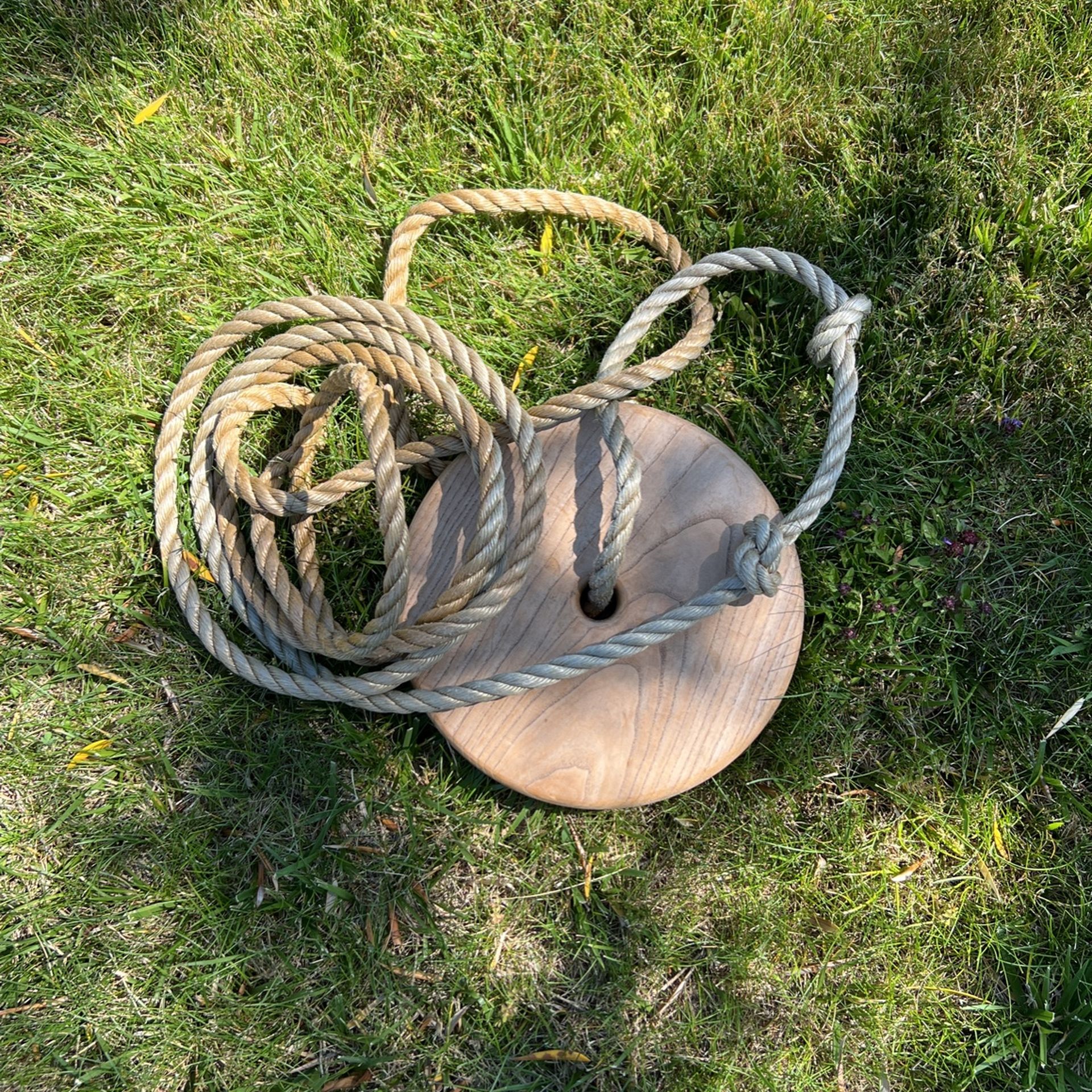 The Original Tree Swing