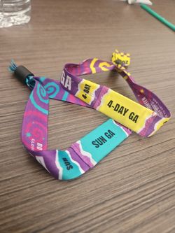 Music festival lollapalooza