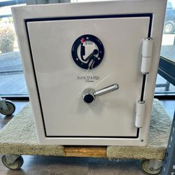 Sanctuary Reserve Safe